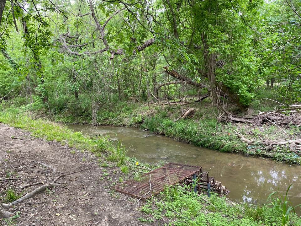 Quarterly photo monitoring by the urban riparian team at the treatment section of the creek in April 2021. 